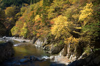 馬瀬川の紅葉