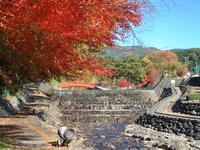 雨情公園紅葉