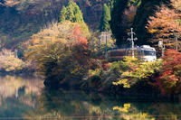 中山七里の紅葉（下原ダム）