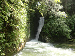小坂の滝の画像