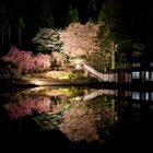 宮谷の桜の画像