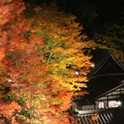 温泉寺の画像