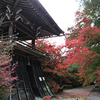 玉龍寺の紅葉の画像