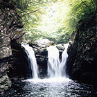 小坂の滝の画像