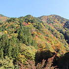 巌立峡の紅葉の画像