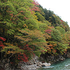 馬瀬川河畔の紅葉の画像