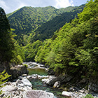 馬瀬川のさかな釣りの画像