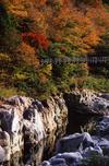 【中山七里の紅葉】美しい景色を見ながらのドライブ