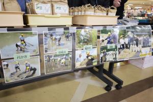 上原小学校　お米販売会5