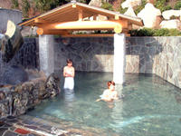 飛騨川温泉しみずの湯の画像