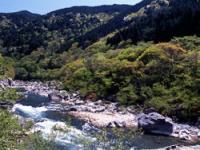 飛騨川の画像